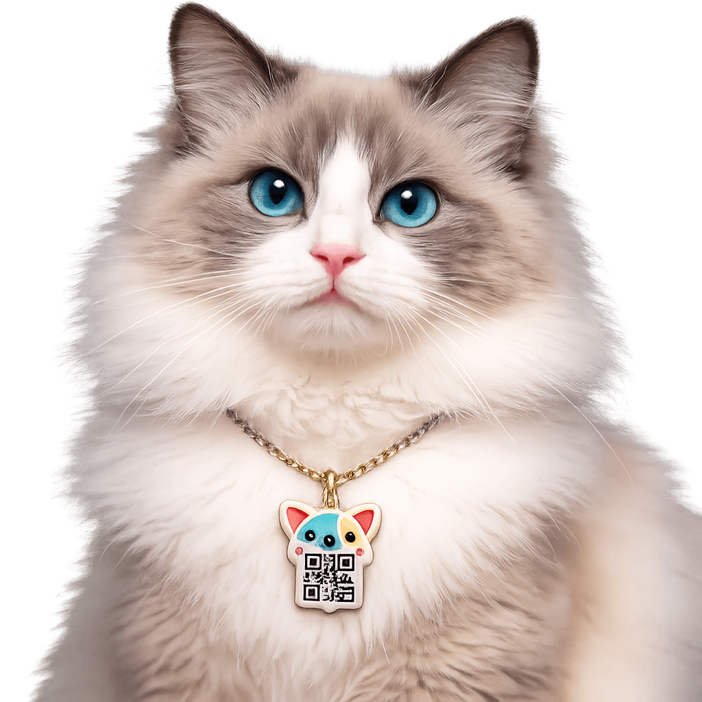 Chat avec collier QR code